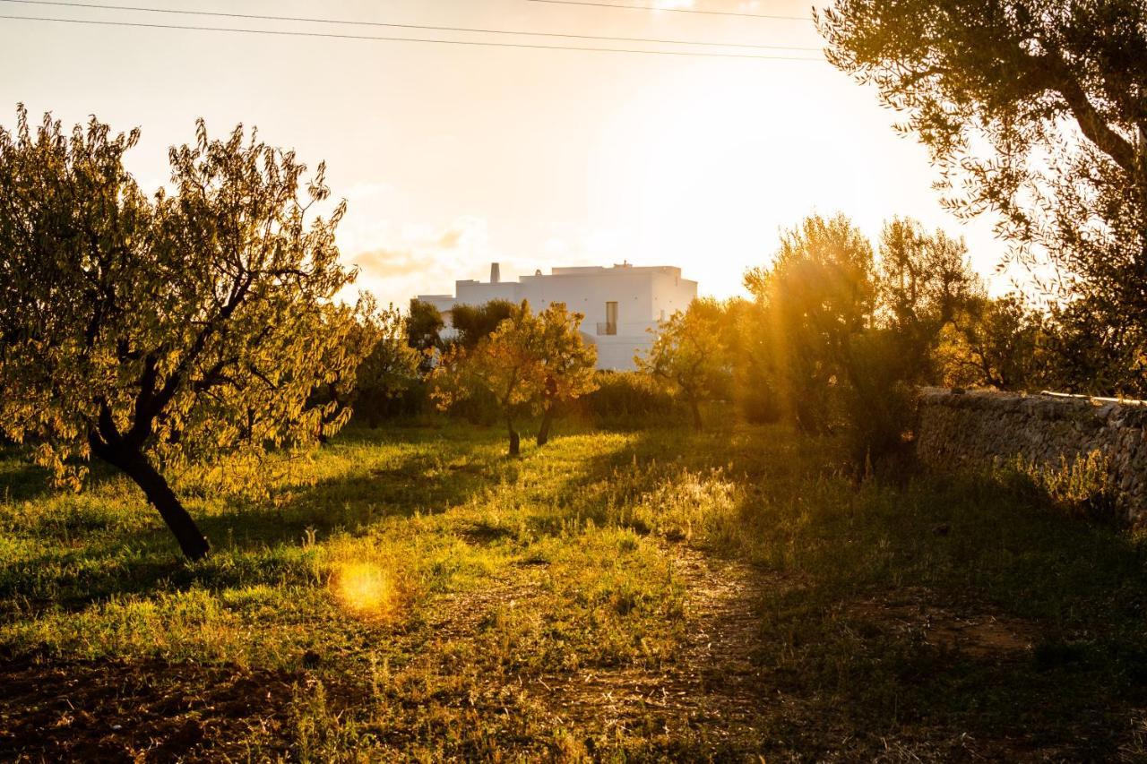 Masseria D'Erchia 모노폴리 외부 사진