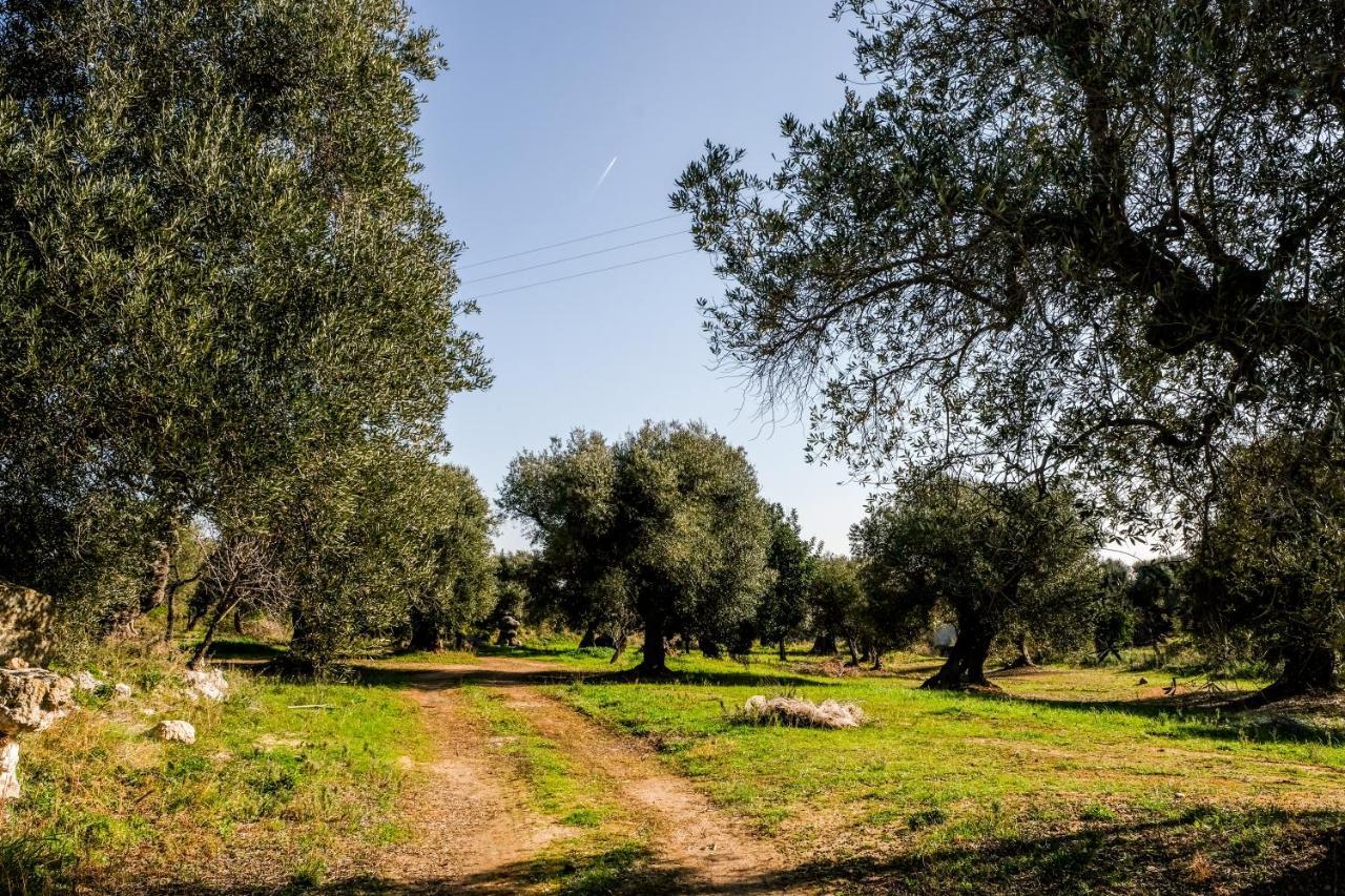 Masseria D'Erchia 모노폴리 외부 사진